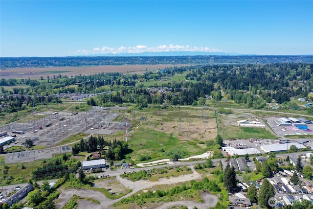 1200 Bonneville Ave, Snohomish, WA 98298 - photo 16