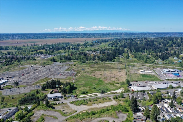 1200 Bonneville Ave, Snohomish, WA 98298 - photo 17