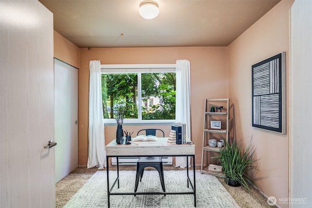 11130 SE 208th St Unit A103, Kent, WA 98031 - photo 17
