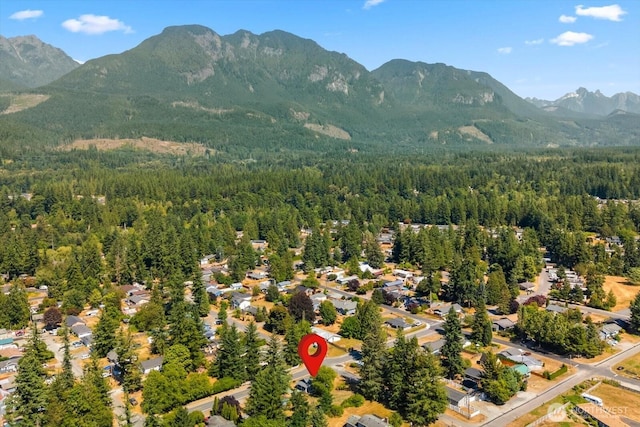 157 8th St, Gold Bar, WA 98251 - photo 38