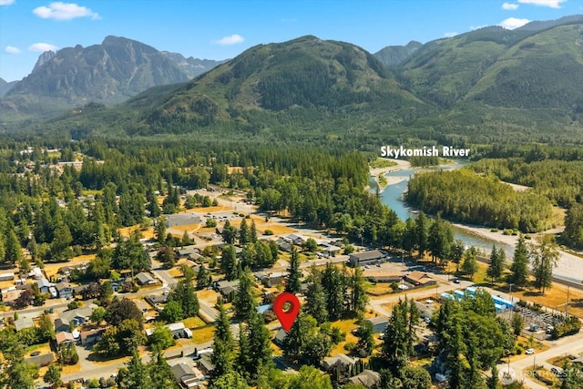 157 8th St, Gold Bar, WA 98251 - photo 39
