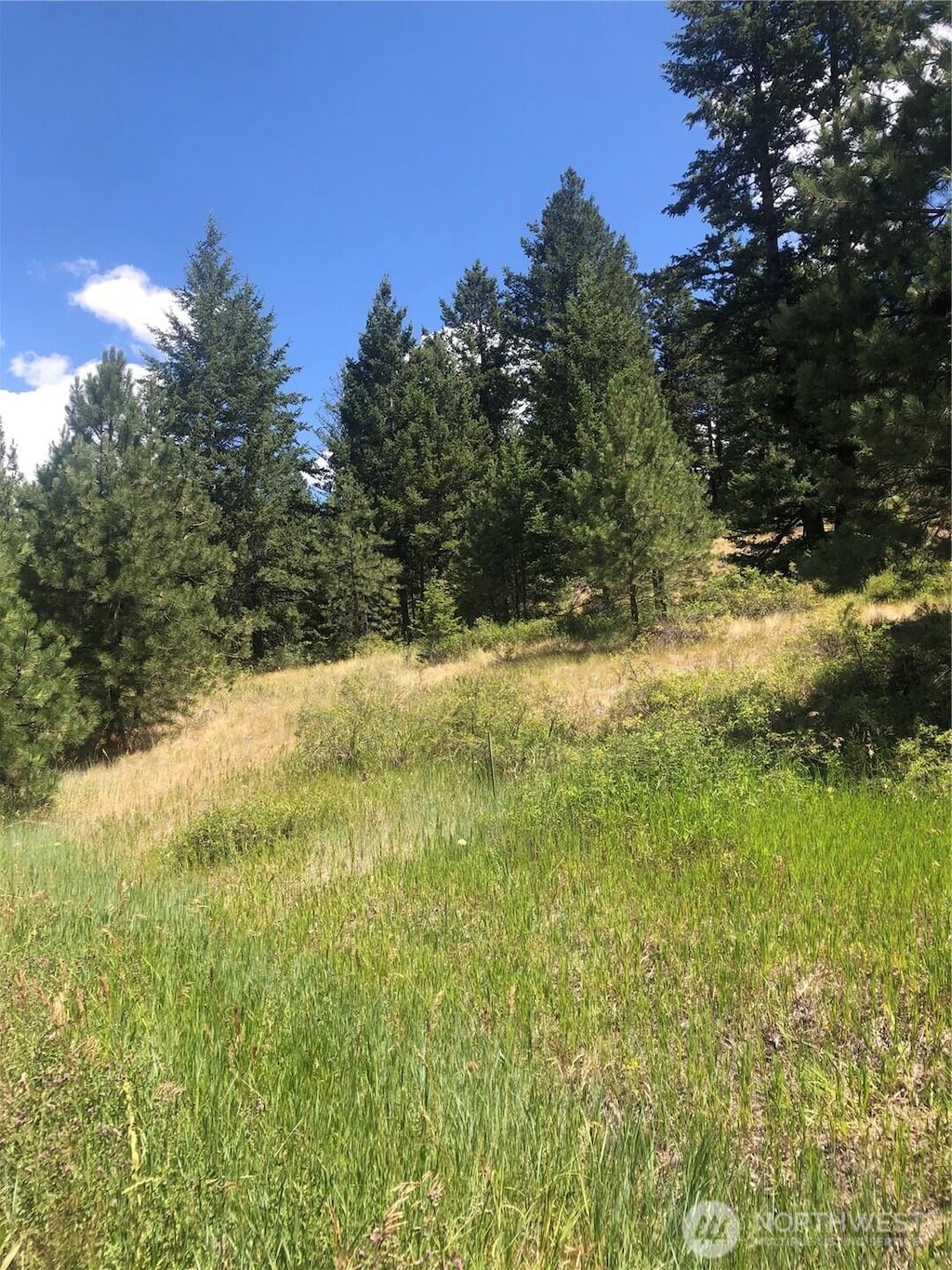 22 Pine Chee Rd, Oroville, WA 98844 - photo 2