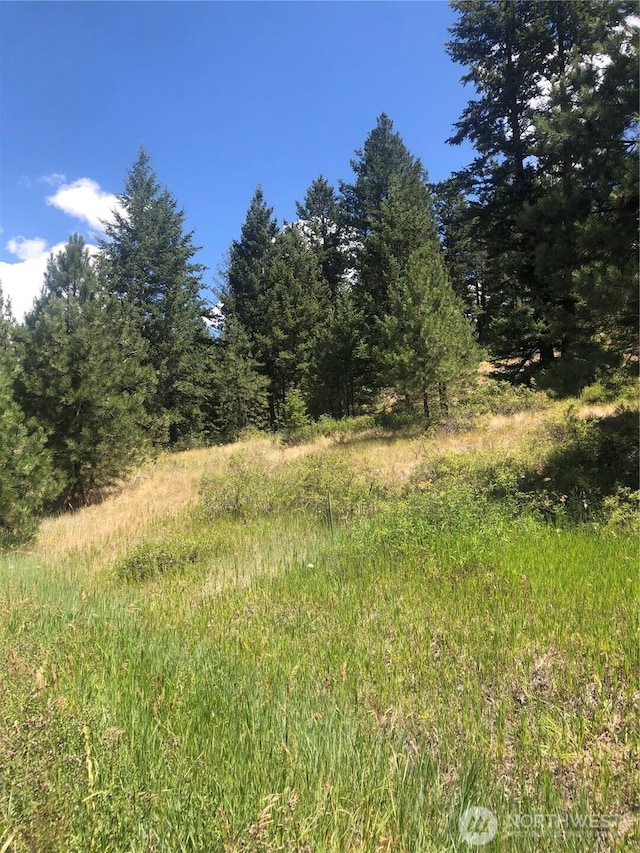 22 Pine Chee Rd, Oroville, WA 98844 - photo 2