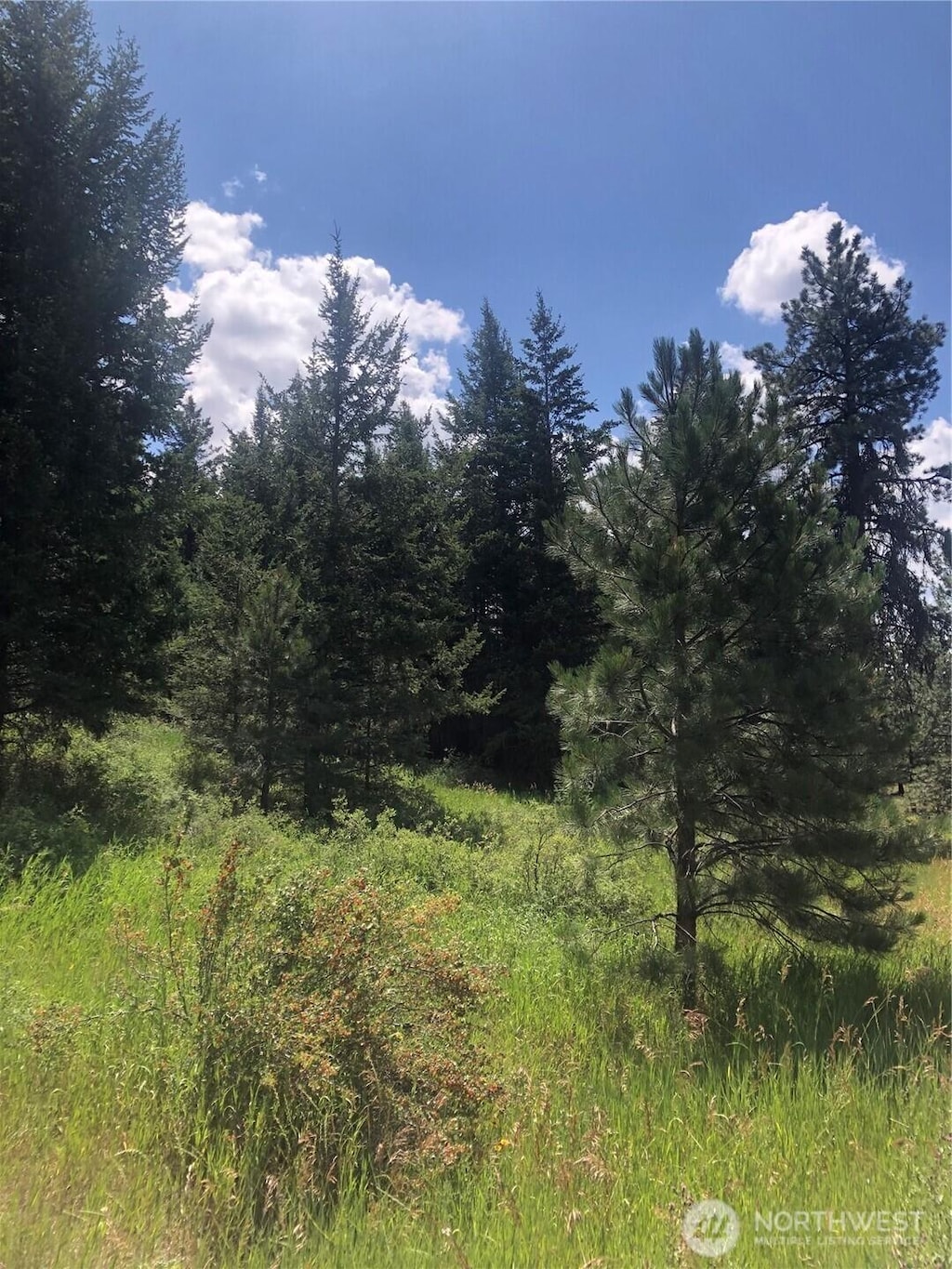22 Pine Chee Rd, Oroville, WA 98844 - photo 3
