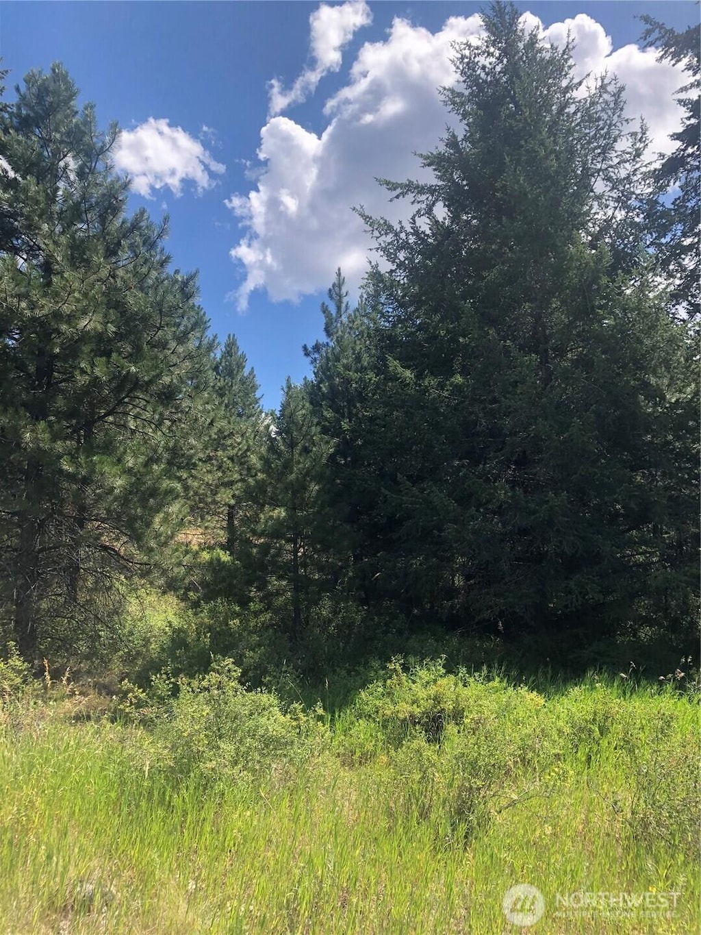 22 Pine Chee Rd, Oroville, WA 98844 - photo 4