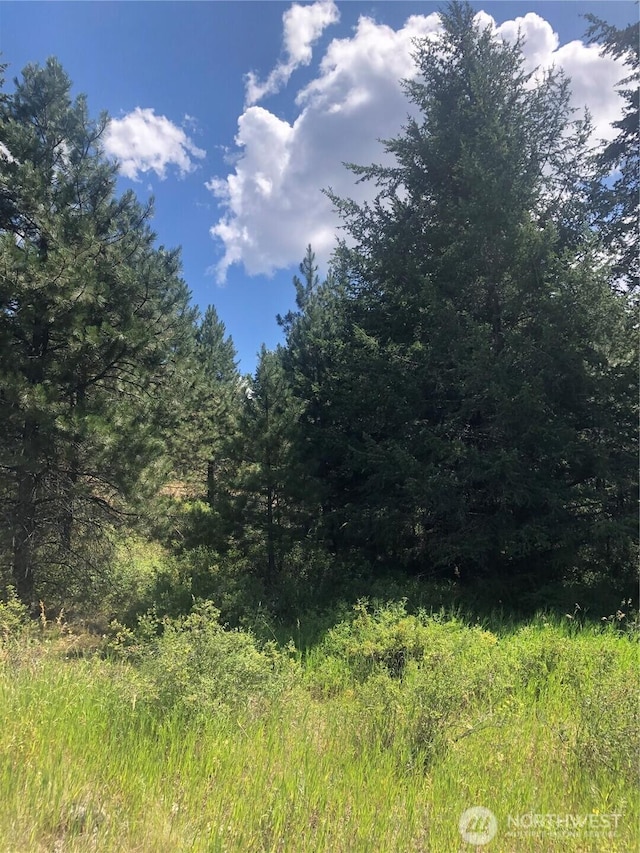 22 Pine Chee Rd, Oroville, WA 98844 - photo 4