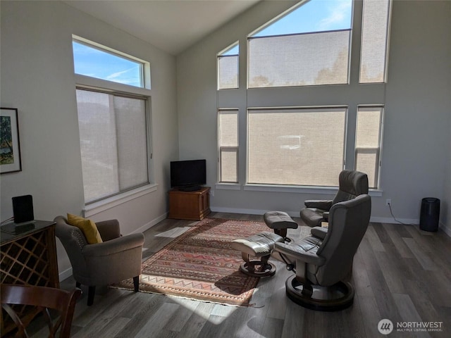 957 Twisp Carlton Rd Unit D, Twisp, WA 98856 - living area featuring wood finished floors and baseboards