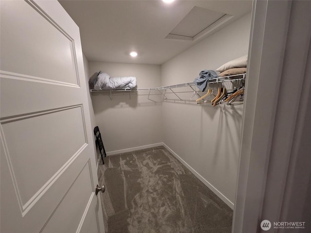 957 Twisp Carlton Rd Unit D, Twisp, WA 98856 - spacious closet featuring carpet