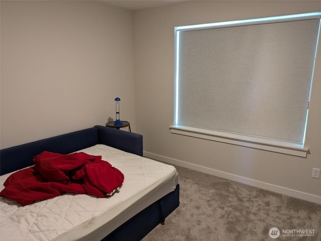 957 Twisp Carlton Rd Unit D, Twisp, WA 98856 - bedroom featuring carpet flooring and baseboards