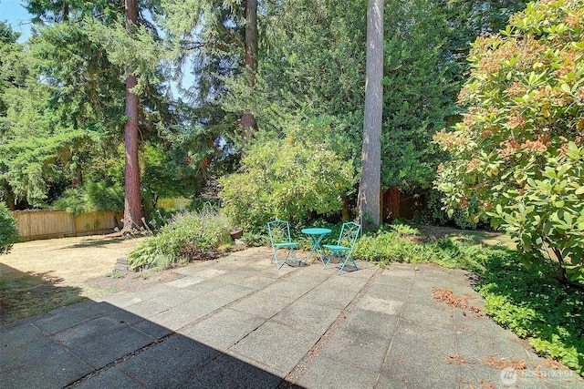 14033 118th Ave NE, Kirkland, WA 98034 - photo 22