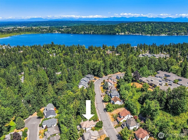 17431 NE 28th St, Redmond, WA 98052 - photo 37