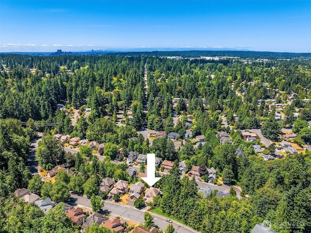 17431 NE 28th St, Redmond, WA 98052 - photo 38
