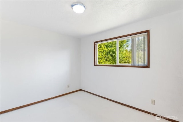 421 Waters Rd, Castle Rock, WA 98611 - photo 16