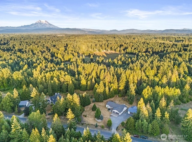 34115 32nd Ave E, Eatonville, WA 98328 - photo 15