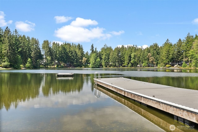 2213 Lake Dr SW, Lakebay, WA 98349