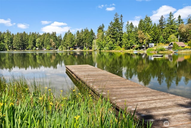 2213 Lake Dr SW, Lakebay, WA 98349
