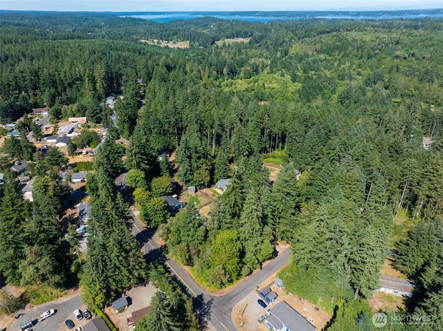 2213 Lake Dr SW, Lakebay, WA 98349