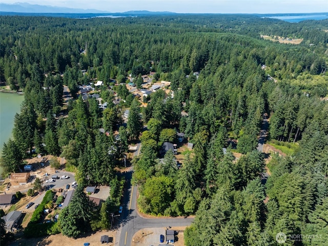 2213 Lake Dr SW, Lakebay, WA 98349