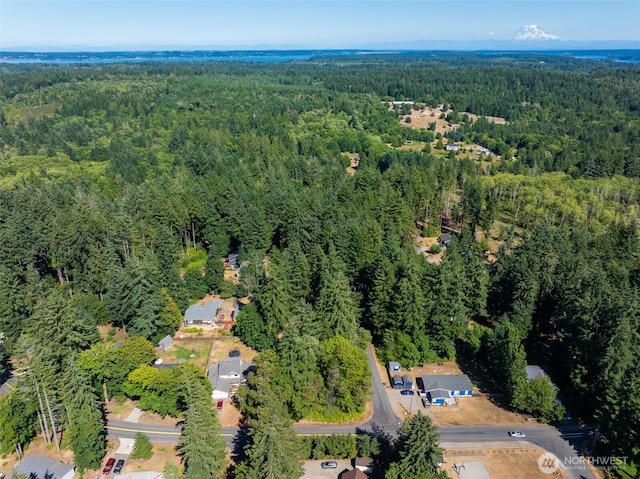 2213 Lake Dr SW, Lakebay, WA 98349
