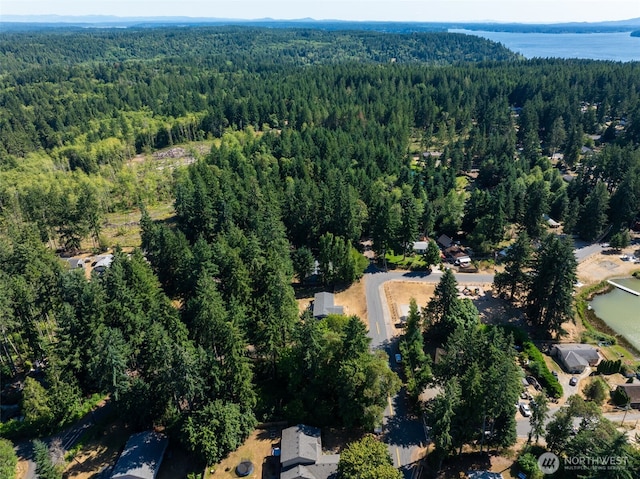2213 Lake Dr SW, Lakebay, WA 98349