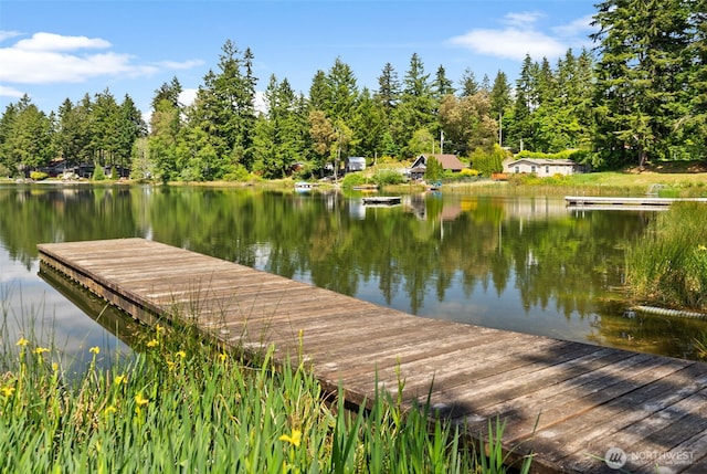 2213 Lake Dr SW, Lakebay, WA 98349