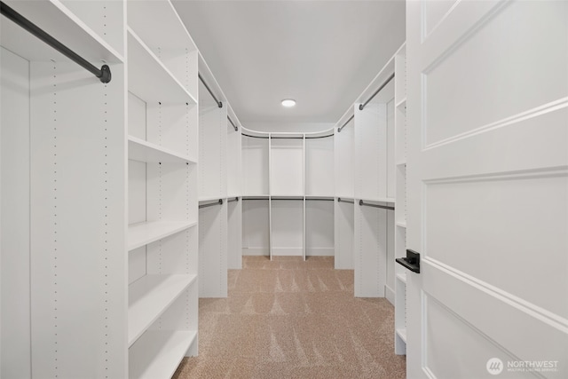 16806 62nd St SE, Snohomish, WA 98290 - walk in closet with light colored carpet