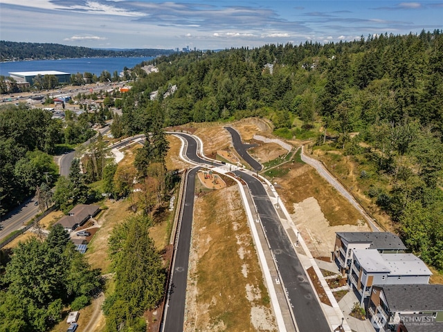 4163 Aberdeen Way NE, Renton, WA 98056 - aerial overview of property's location with a heavily wooded area and a large body of water