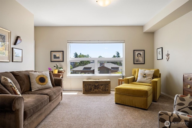 516 Darby Dr Unit 207, Bellingham, WA 98226 - living area with carpet