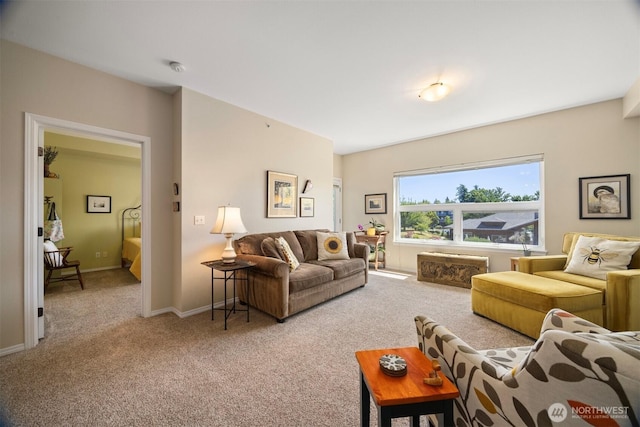 516 Darby Dr Unit 207, Bellingham, WA 98226 - carpeted living room featuring baseboards