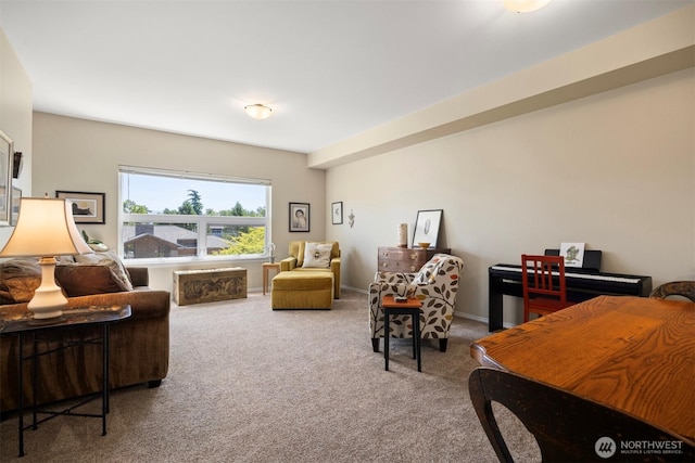 516 Darby Dr Unit 207, Bellingham, WA 98226 - living area featuring carpet and baseboards