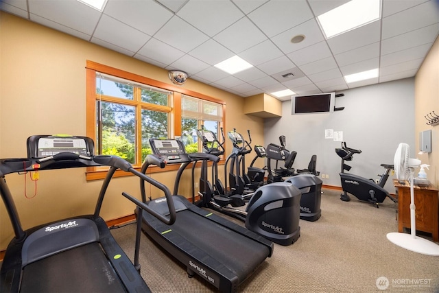 516 Darby Dr Unit 207, Bellingham, WA 98226 - gym with a paneled ceiling and carpet floors