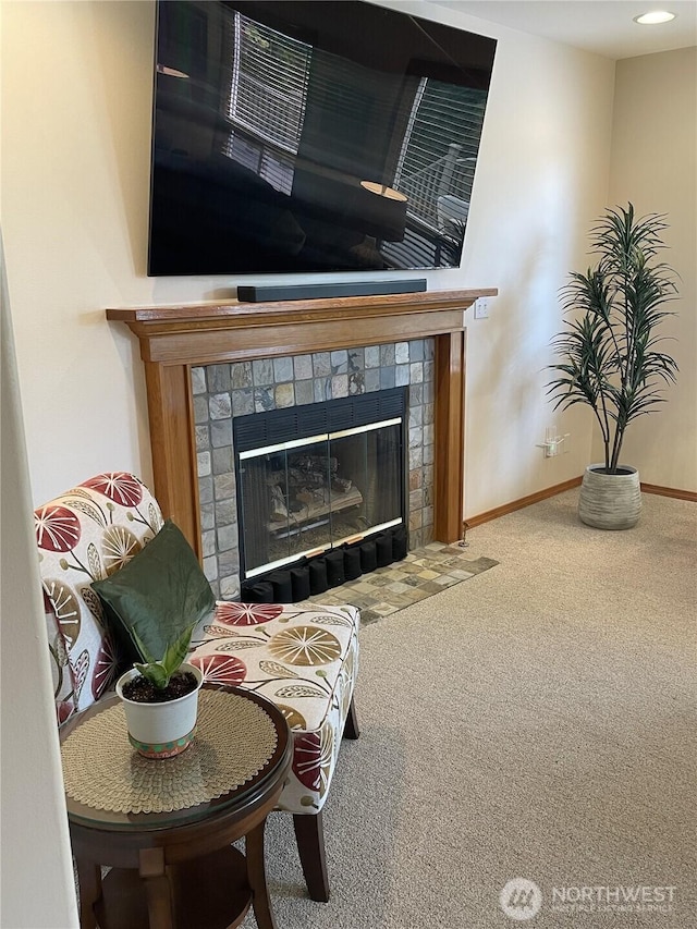 1017 Kelley Ridge Ct, Bellingham, WA 98229 - detailed view of carpet floors and a fireplace