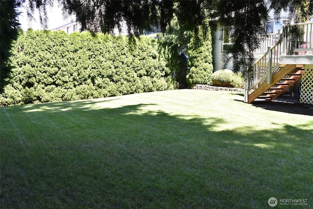 1017 Kelley Ridge Ct, Bellingham, WA 98229 - view of green lawn with stairs