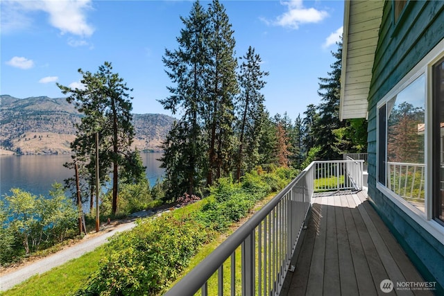 46 Maryvale Ln, Chelan, WA 98816 - photo 23
