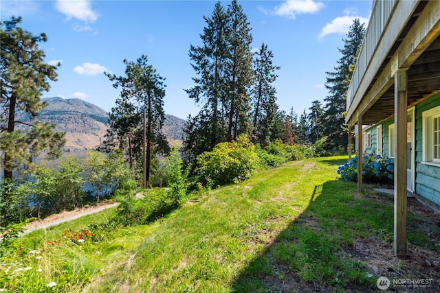 46 Maryvale Ln, Chelan, WA 98816 - photo 29