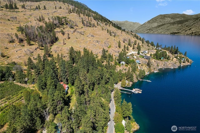 46 Maryvale Ln, Chelan, WA 98816 - photo 33