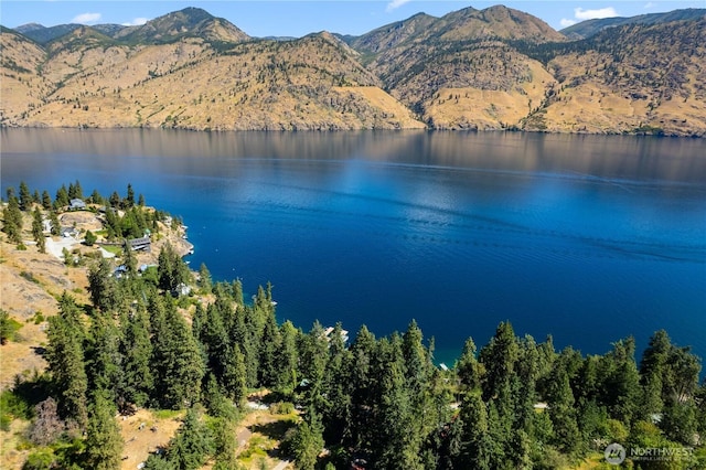 46 Maryvale Ln, Chelan, WA 98816 - photo 37