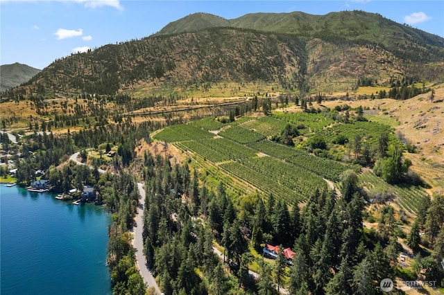 46 Maryvale Ln, Chelan, WA 98816 - photo 39
