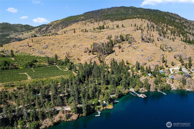 46 Maryvale Ln, Chelan, WA 98816 - photo 34