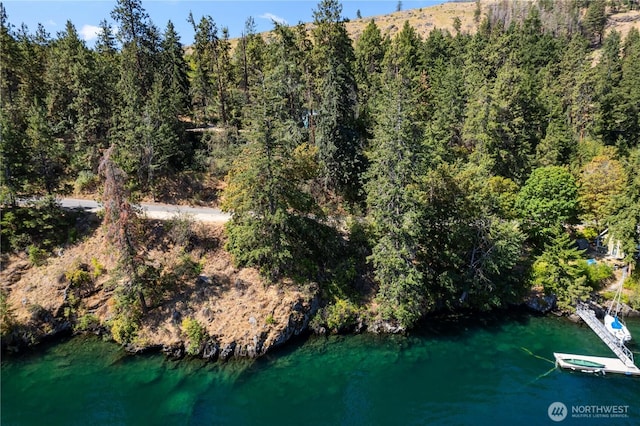 46 Maryvale Ln, Chelan, WA 98816 - photo 36