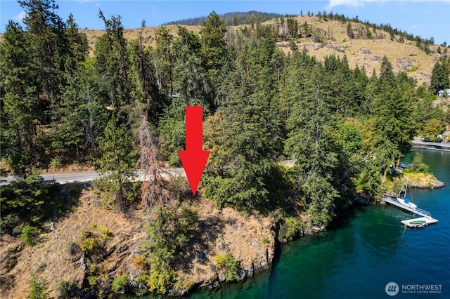 46 Maryvale Ln, Chelan, WA 98816 - photo 35
