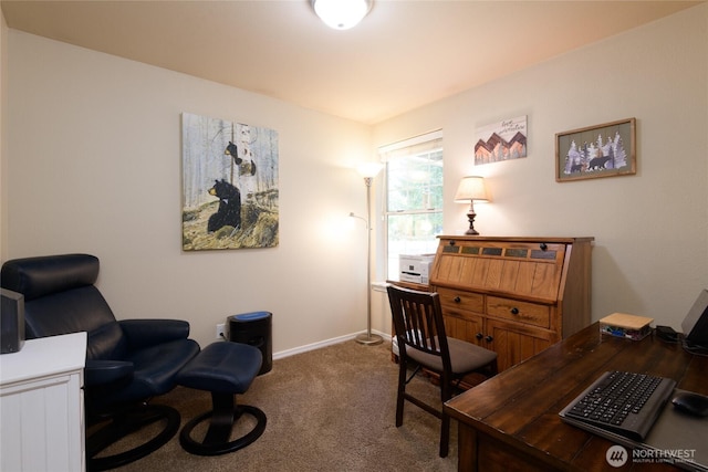 19217 110th St E, Bonney Lake, WA 98391 - photo 26