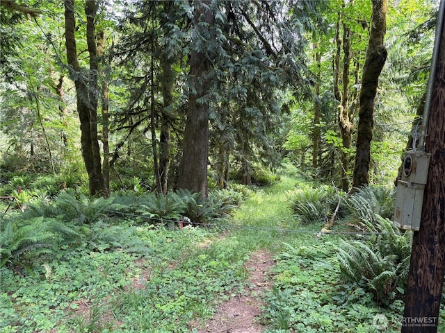 0 Pigeon Springs Rd, Onalaska, WA 98570