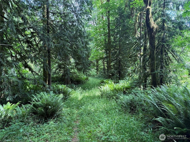0 Pigeon Springs Rd, Onalaska, WA 98570