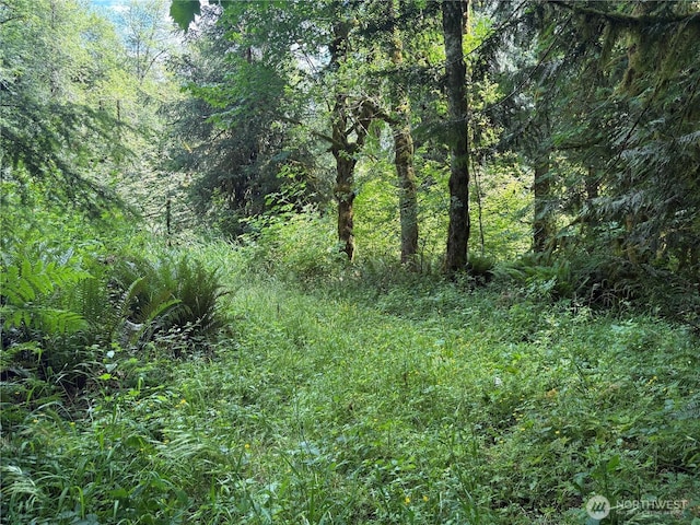 0 Pigeon Springs Rd, Onalaska, WA 98570