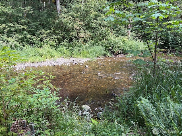 0 Pigeon Springs Rd, Onalaska, WA 98570
