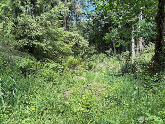 0 Pigeon Springs Rd, Onalaska, WA 98570