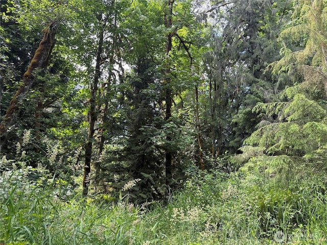 0 Pigeon Springs Rd, Onalaska, WA 98570