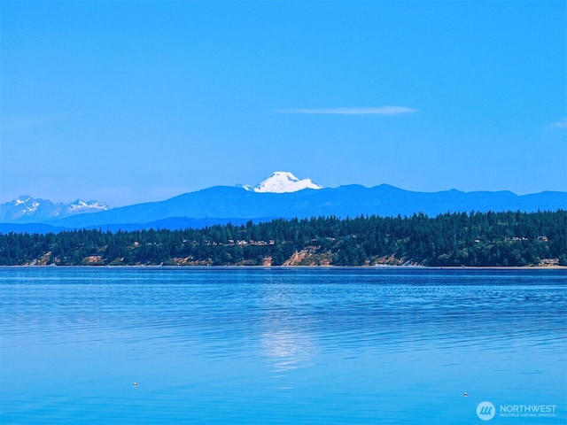 2847 Tillicum Beach Rd, Camano Island, WA 98282 - photo 2