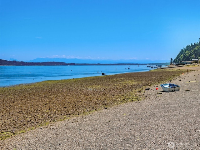 2847 Tillicum Beach Rd, Camano Island, WA 98282 - photo 32
